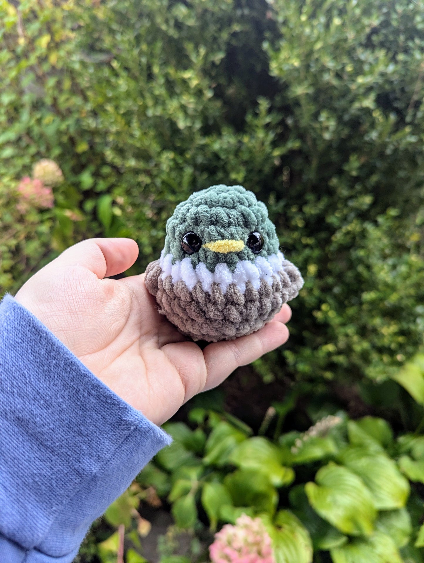 Pocket Birds Crochet Pattern 6-in-1