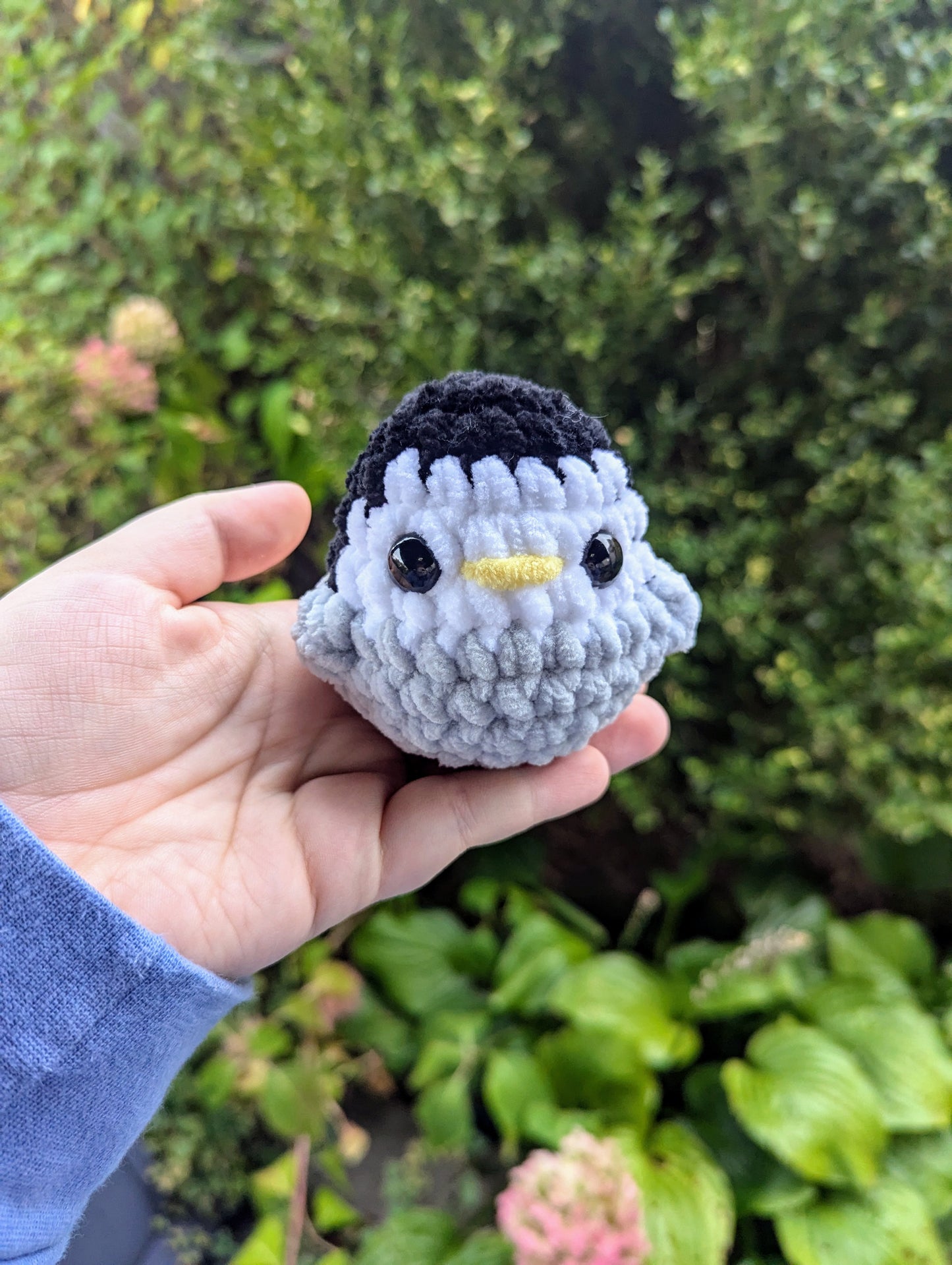 Pocket Birds Crochet Pattern 6-in-1