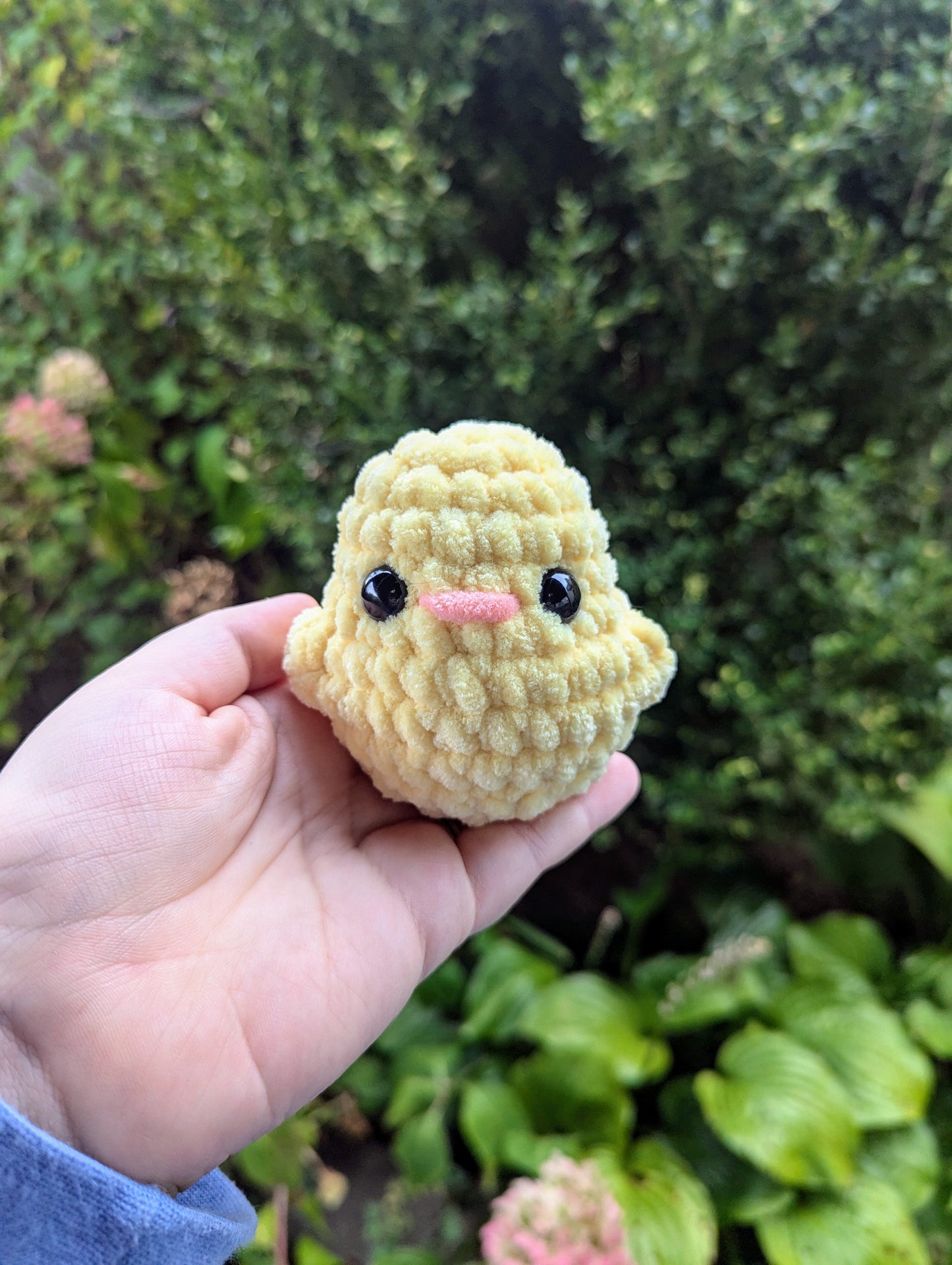 Pocket Birds Crochet Pattern 6-in-1